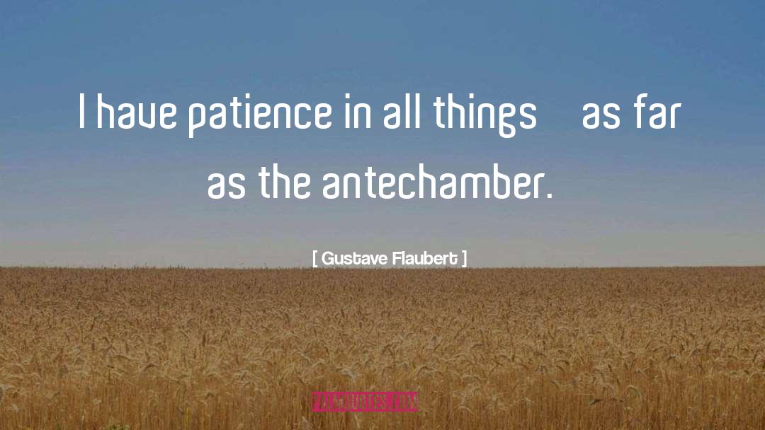 Gustave Flaubert Quotes: I have patience in all