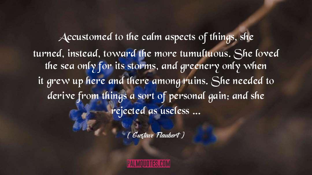 Gustave Flaubert Quotes: Accustomed to the calm aspects