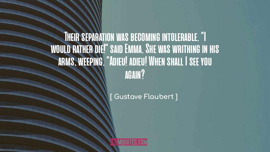 Gustave Flaubert Quotes: Their separation was becoming intolerable.
