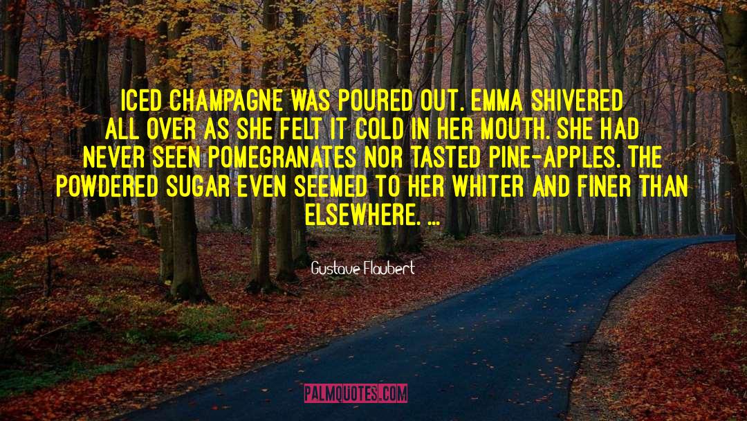 Gustave Flaubert Quotes: Iced champagne was poured out.