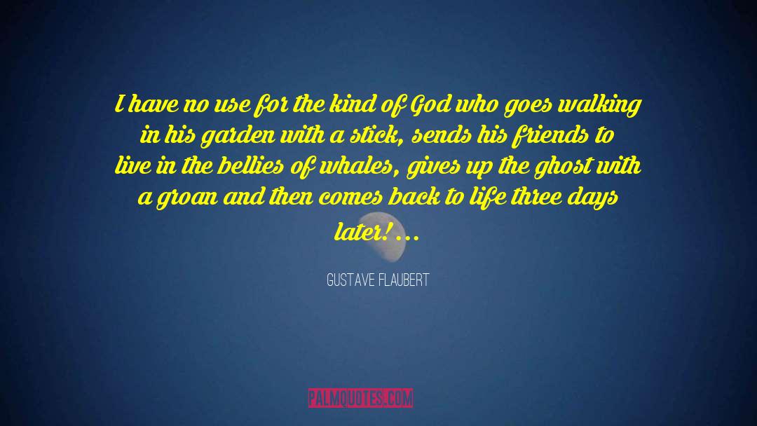 Gustave Flaubert Quotes: I have no use for