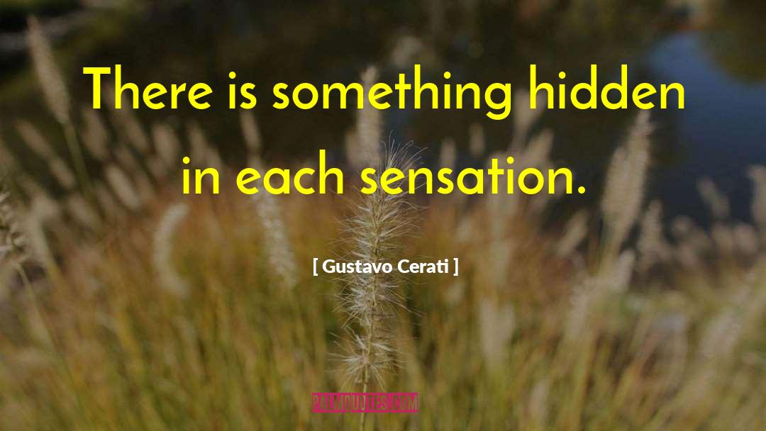 Gustavo Cerati Quotes: There is something hidden in