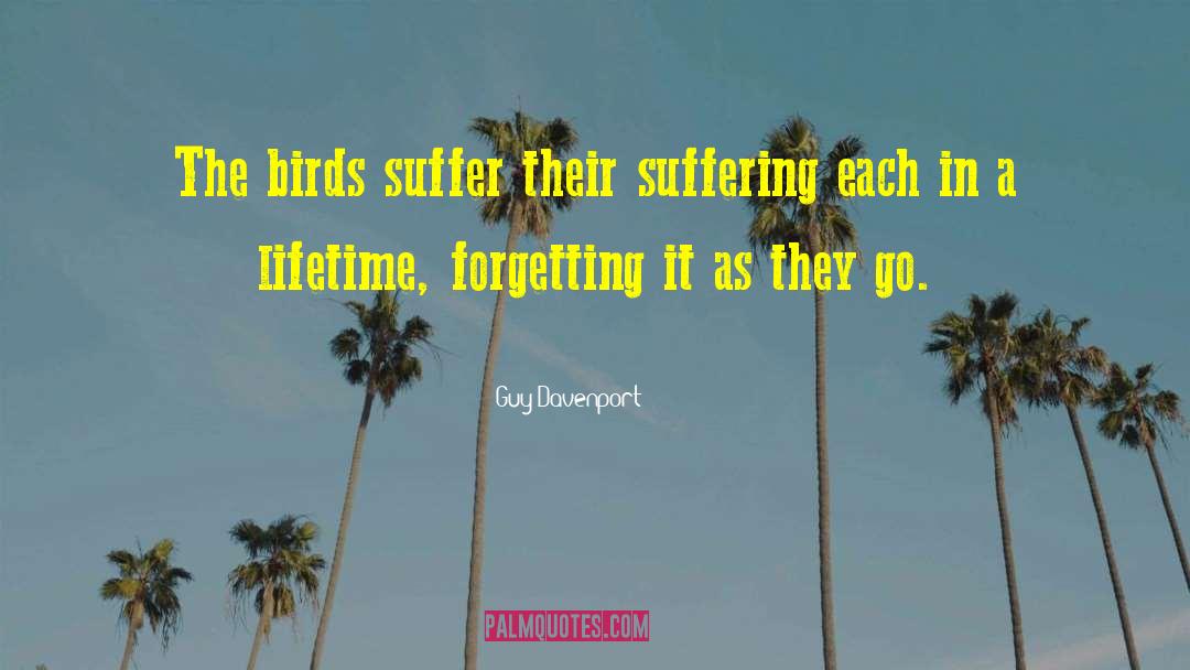 Guy Davenport Quotes: The birds suffer their suffering
