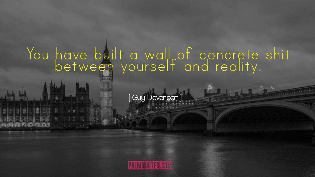 Guy Davenport Quotes: You have built a wall