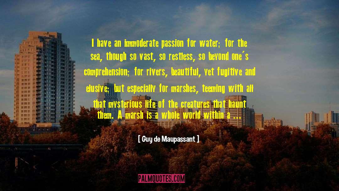 Guy De Maupassant Quotes: I have an immoderate passion