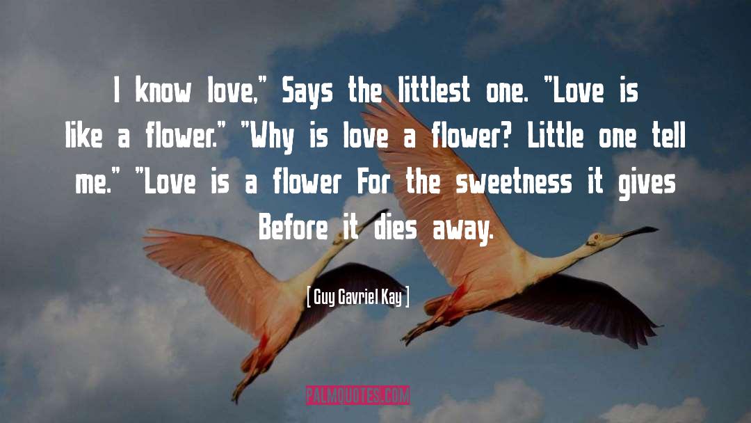 Guy Gavriel Kay Quotes: I know love,