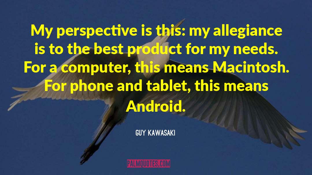 Guy Kawasaki Quotes: My perspective is this: my