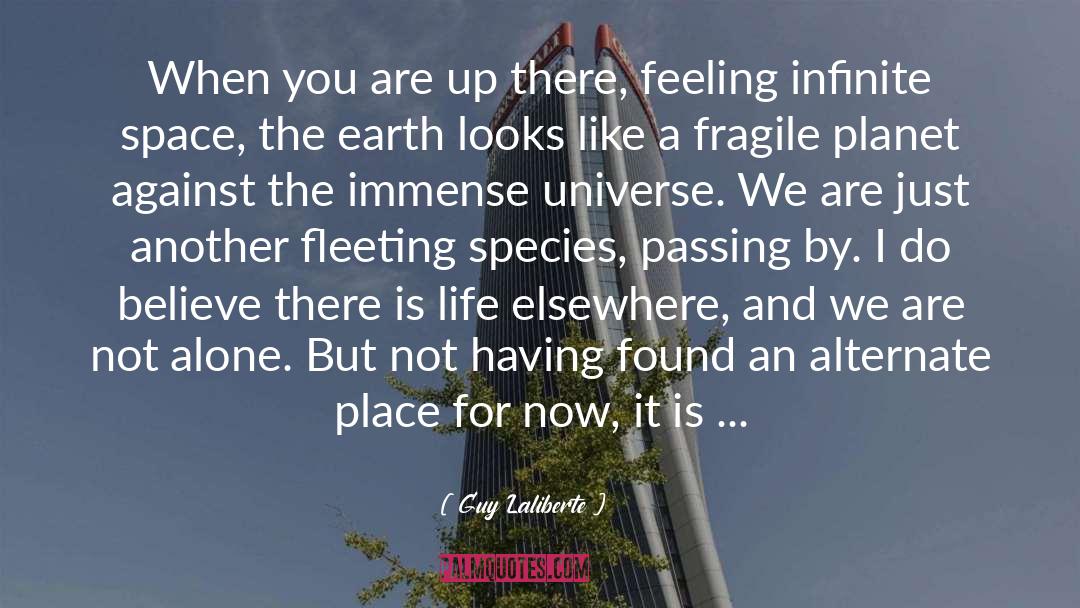 Guy Laliberte Quotes: When you are up there,