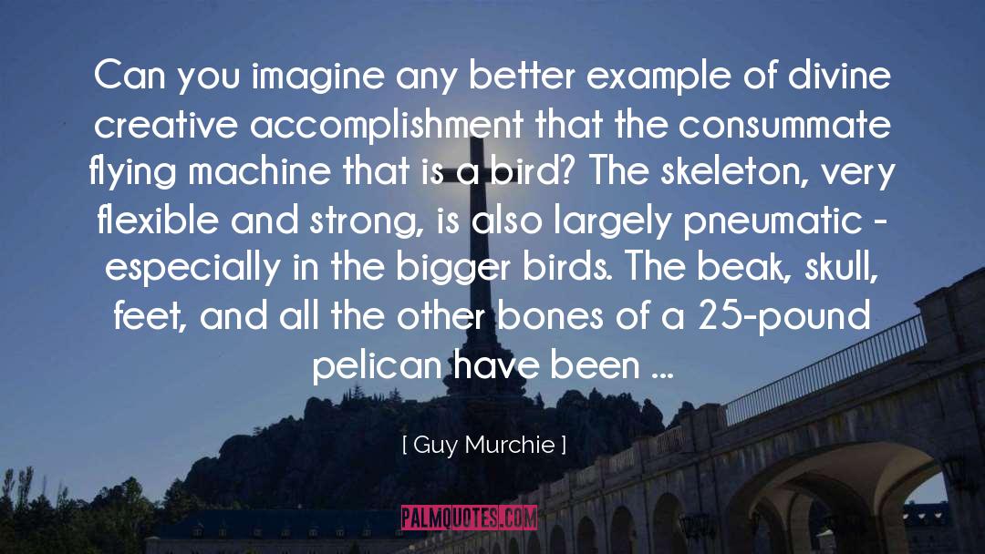 Guy Murchie Quotes: Can you imagine any better