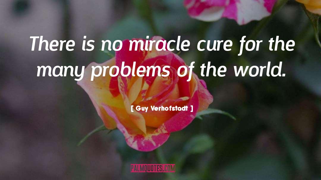 Guy Verhofstadt Quotes: There is no miracle cure