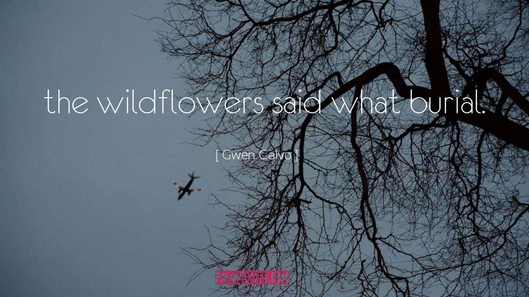 Gwen Calvo Quotes: the wildflowers said what burial.