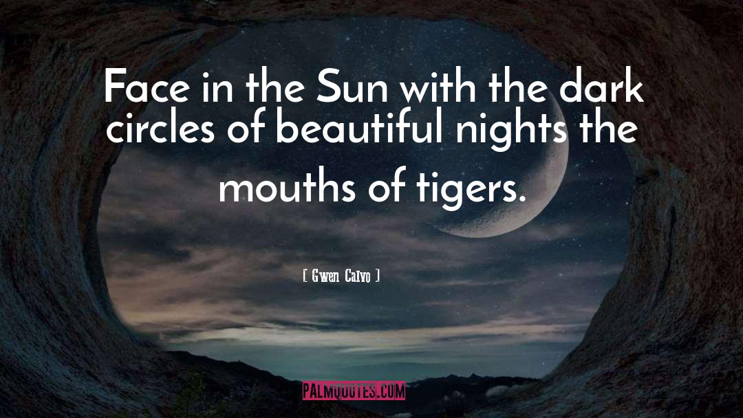 Gwen Calvo Quotes: Face in the Sun with