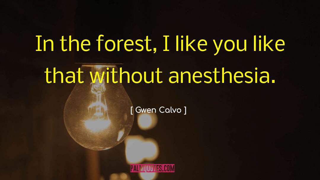 Gwen Calvo Quotes: In the forest, I like