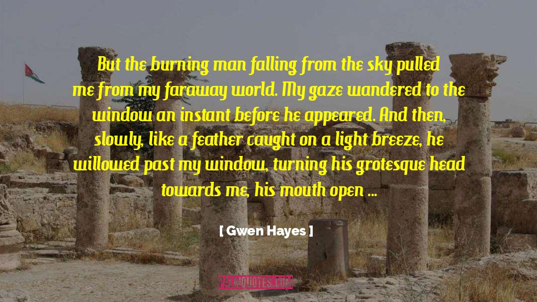 Gwen Hayes Quotes: But the burning man falling