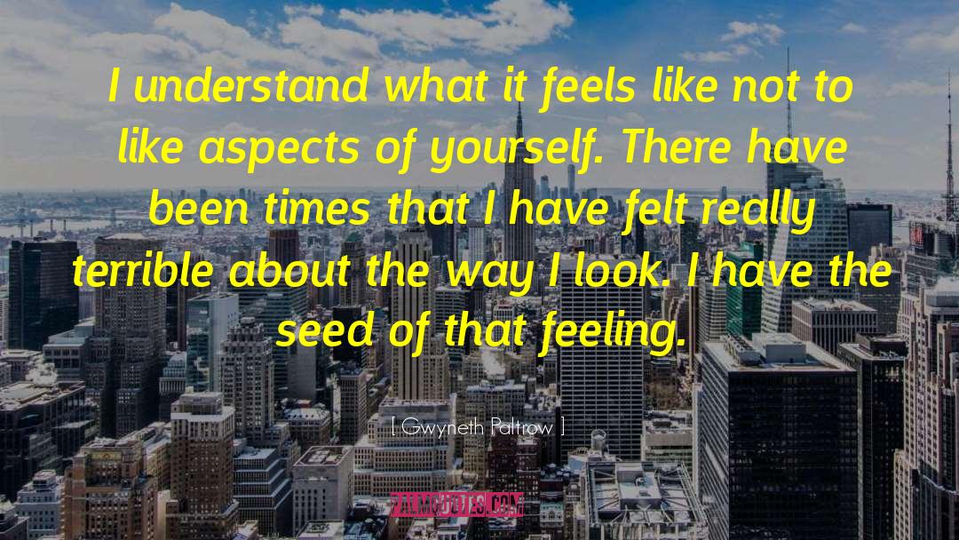 Gwyneth Paltrow Quotes: I understand what it feels