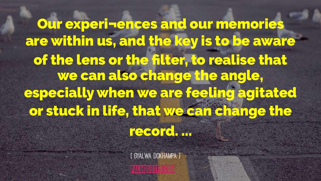 Gyalwa Dokhampa Quotes: Our experi¬ences and our memories