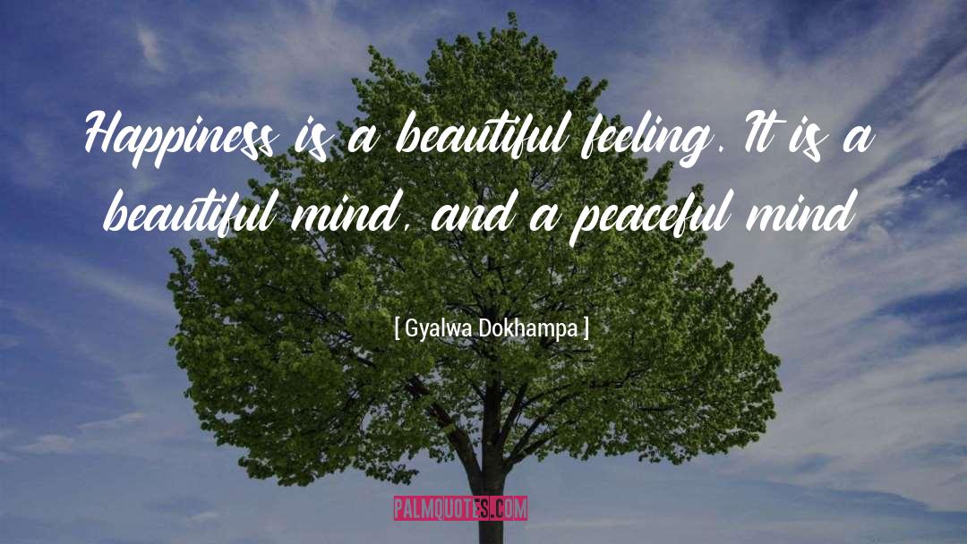 Gyalwa Dokhampa Quotes: Happiness is a beautiful feeling.