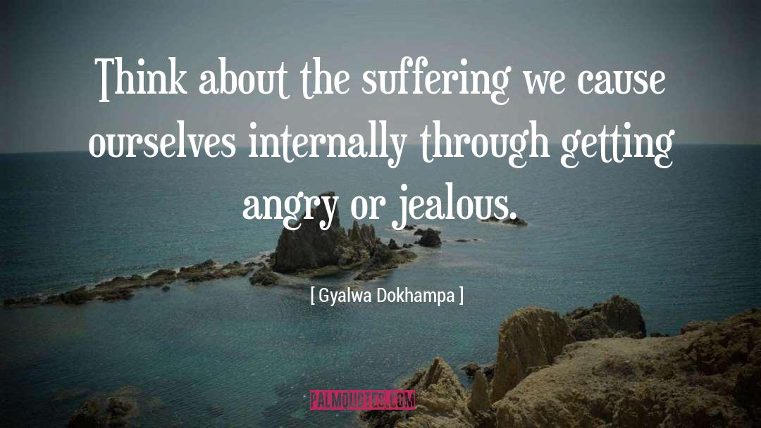 Gyalwa Dokhampa Quotes: Think about the suffering we