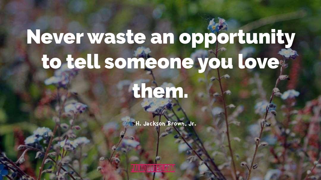 H. Jackson Brown, Jr. Quotes: Never waste an opportunity to