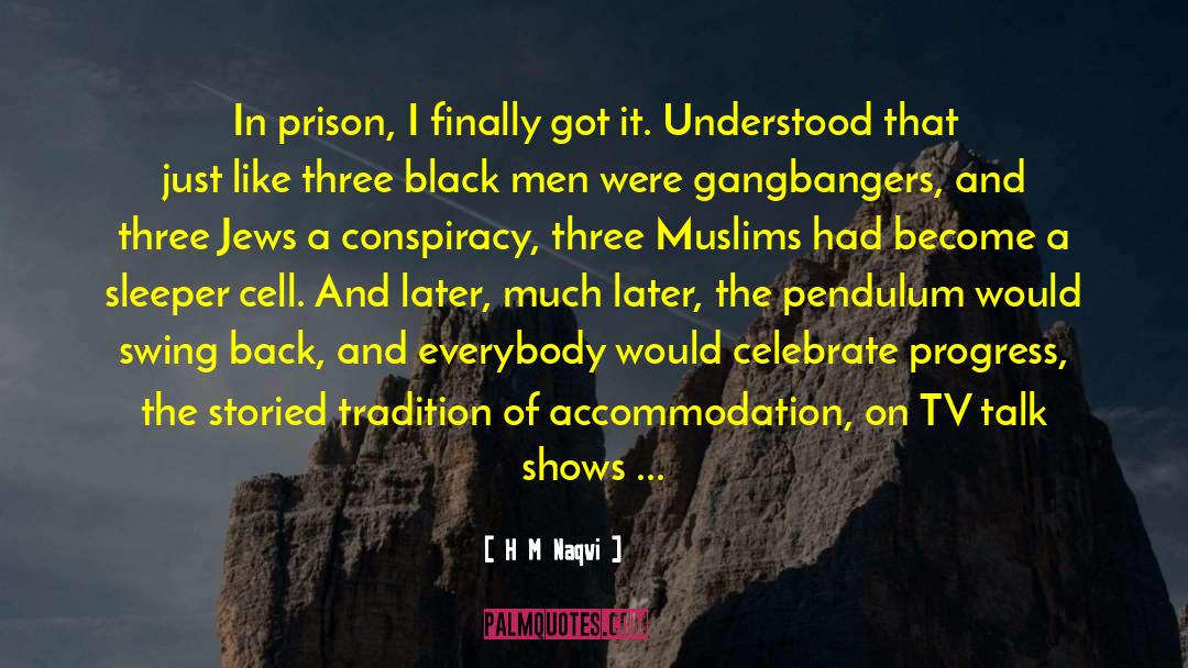 H M Naqvi Quotes: In prison, I finally got