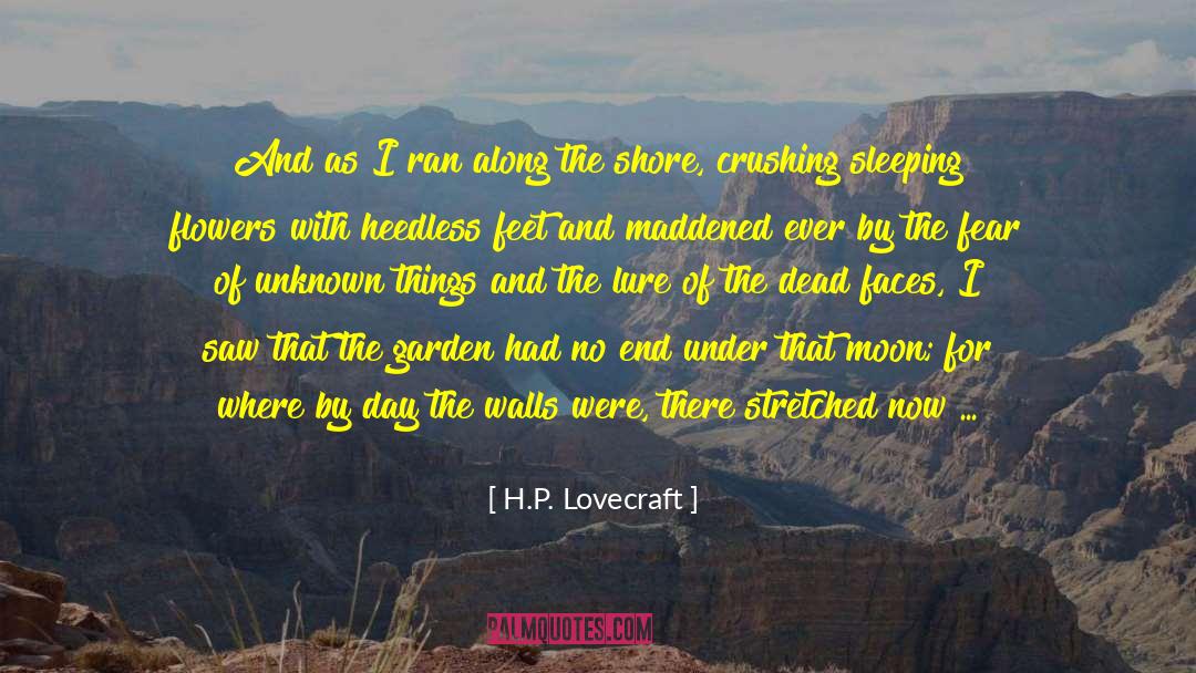 H.P. Lovecraft Quotes: And as I ran along