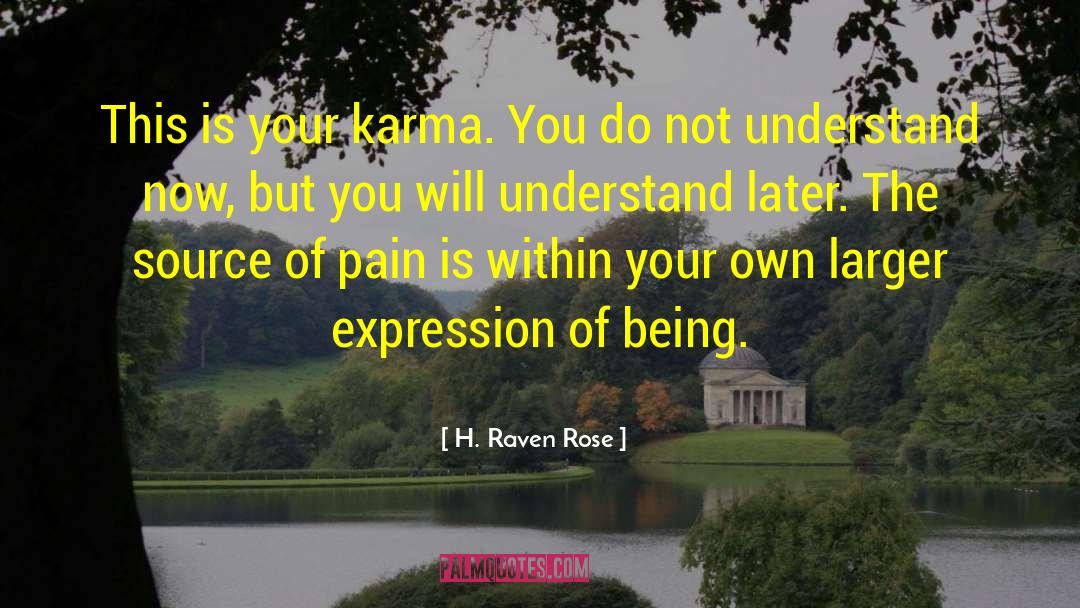 H. Raven Rose Quotes: This is your karma. You