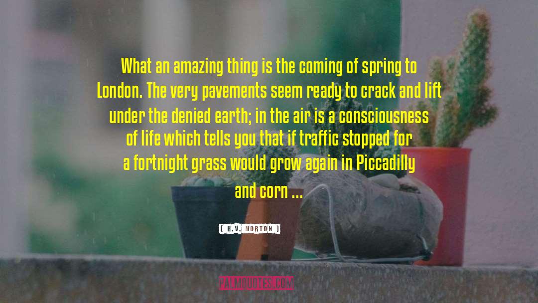 H.V. Morton Quotes: What an amazing thing is