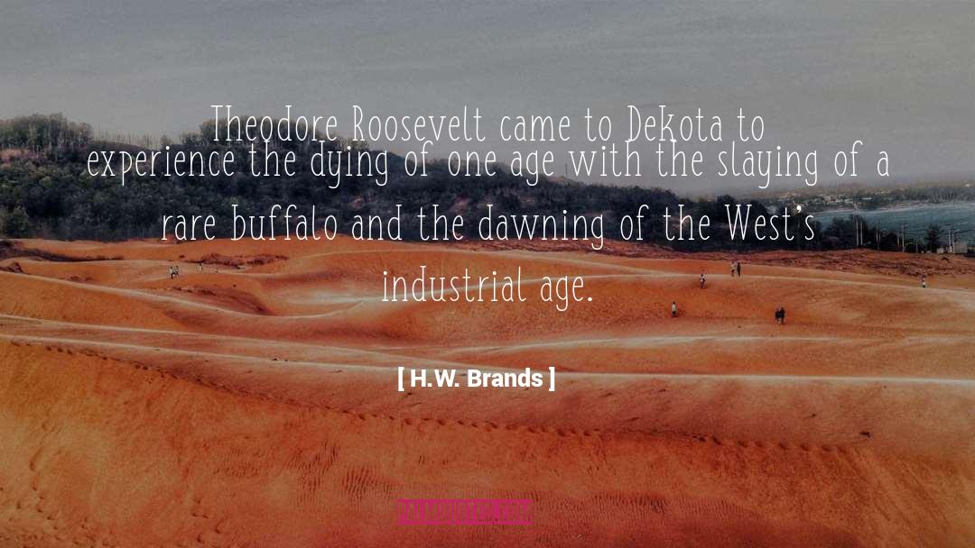 H.W. Brands Quotes: Theodore Roosevelt came to Dekota