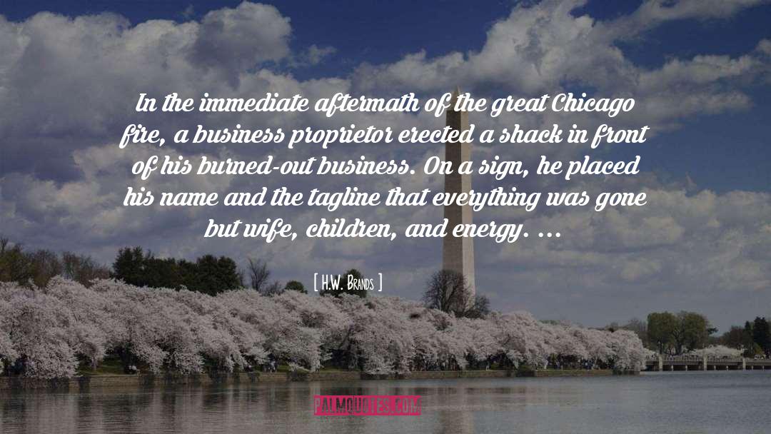 H.W. Brands Quotes: In the immediate aftermath of