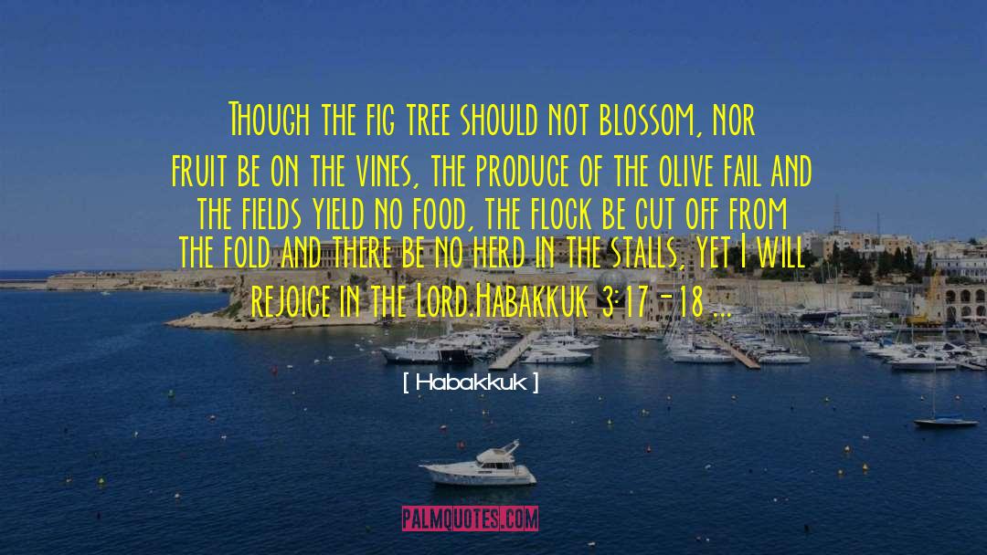 Habakkuk Quotes: Though the fig tree should