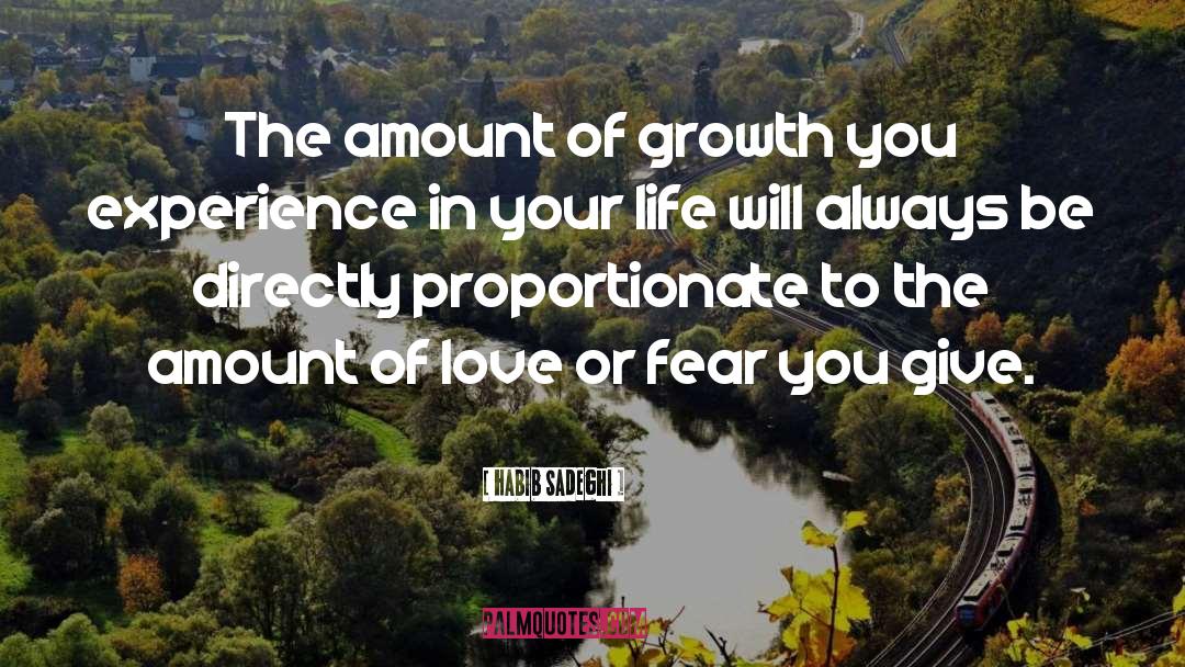 Habib Sadeghi Quotes: The amount of growth you