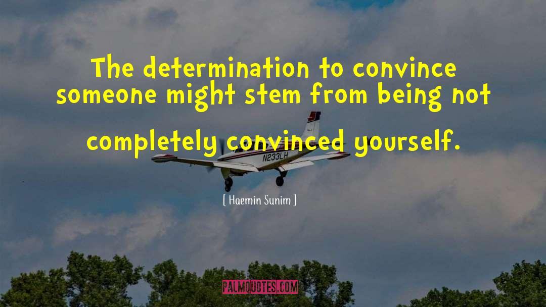 Haemin Sunim Quotes: The determination to convince someone