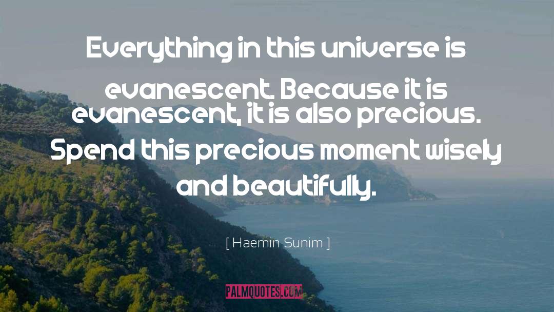 Haemin Sunim Quotes: Everything in this universe is