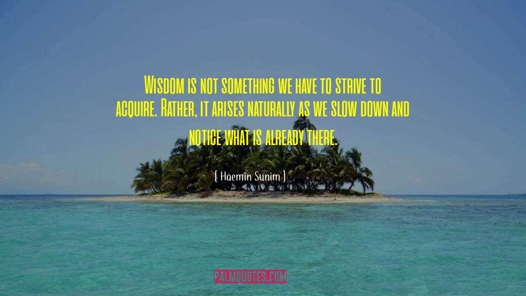Haemin Sunim Quotes: Wisdom is not something we