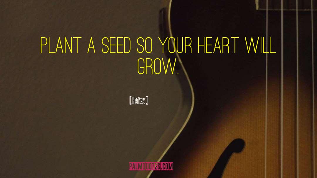 Hafez Quotes: Plant a Seed so your