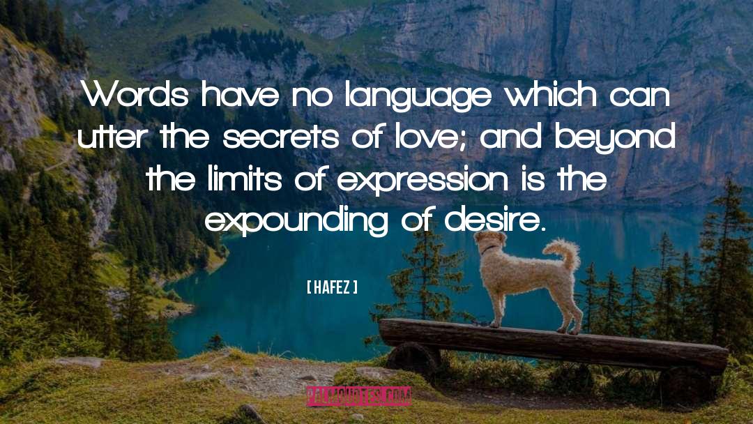 Hafez Quotes: Words have no language which