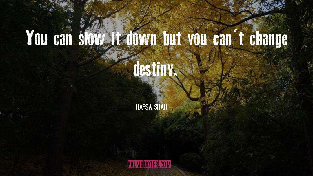 Hafsa Shah Quotes: You can slow it down