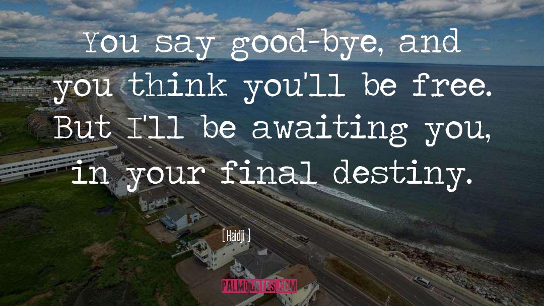 Haidji Quotes: You say good-bye, and you