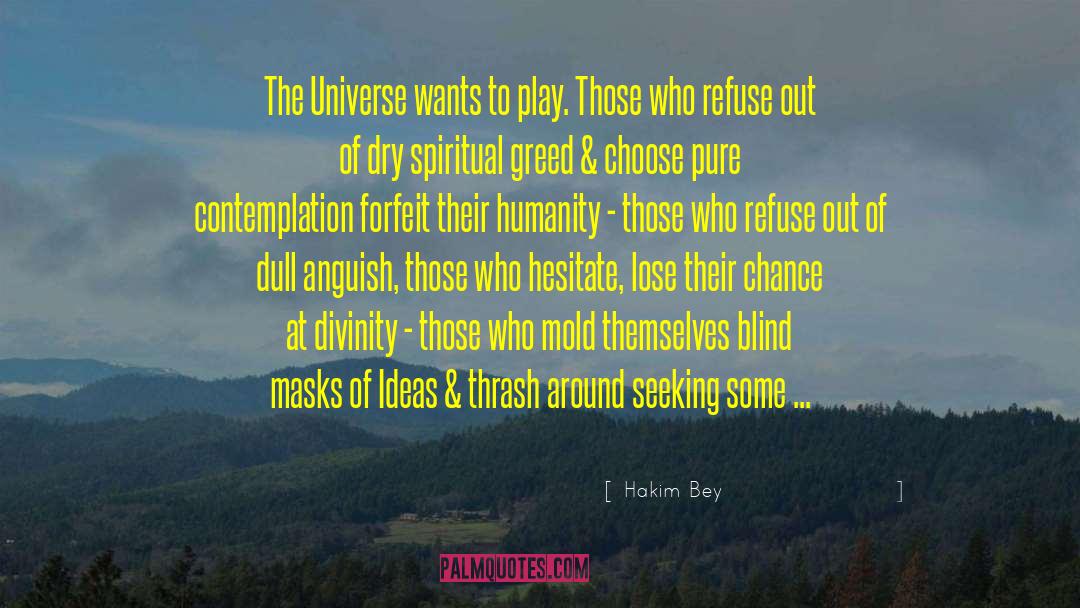Hakim Bey Quotes: The Universe wants to play.