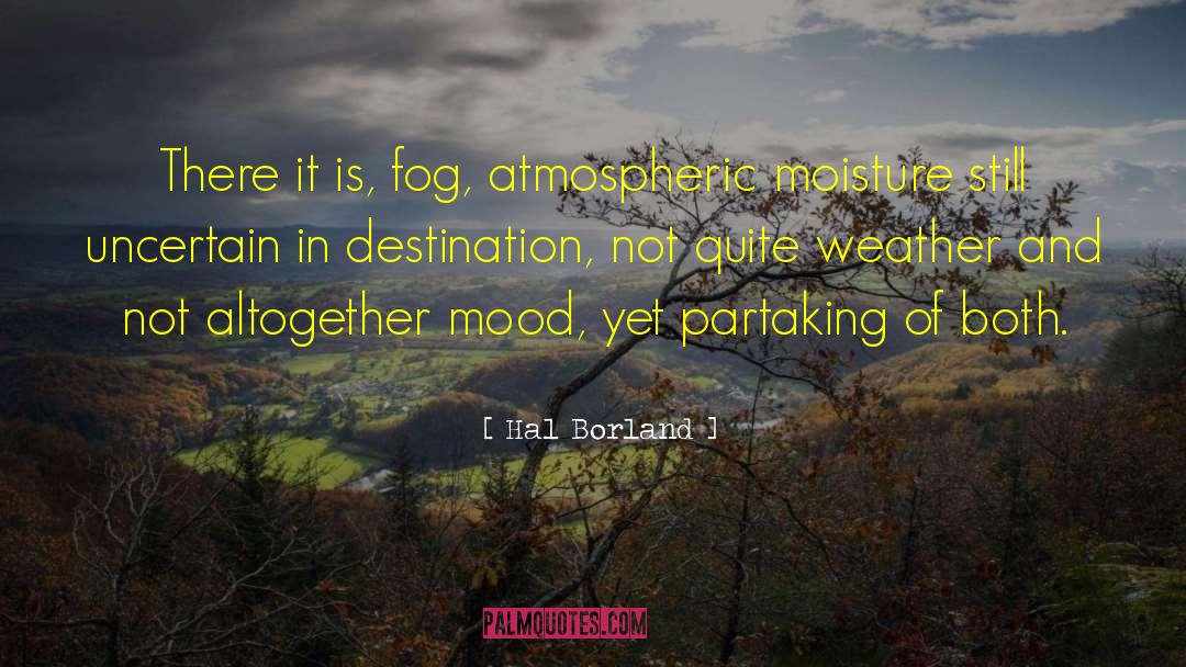 Hal Borland Quotes: There it is, fog, atmospheric