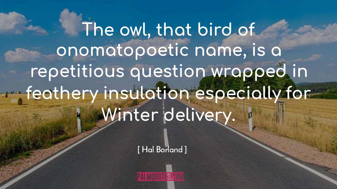Hal Borland Quotes: The owl, that bird of