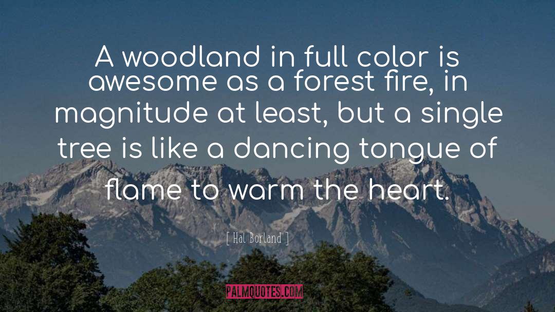 Hal Borland Quotes: A woodland in full color