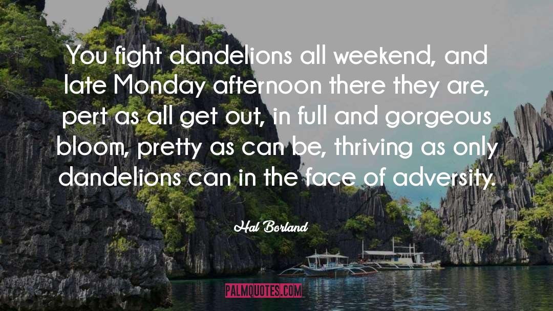 Hal Borland Quotes: You fight dandelions all weekend,