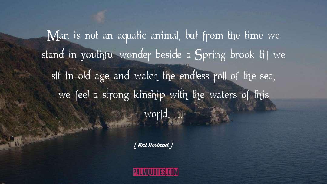 Hal Borland Quotes: Man is not an aquatic