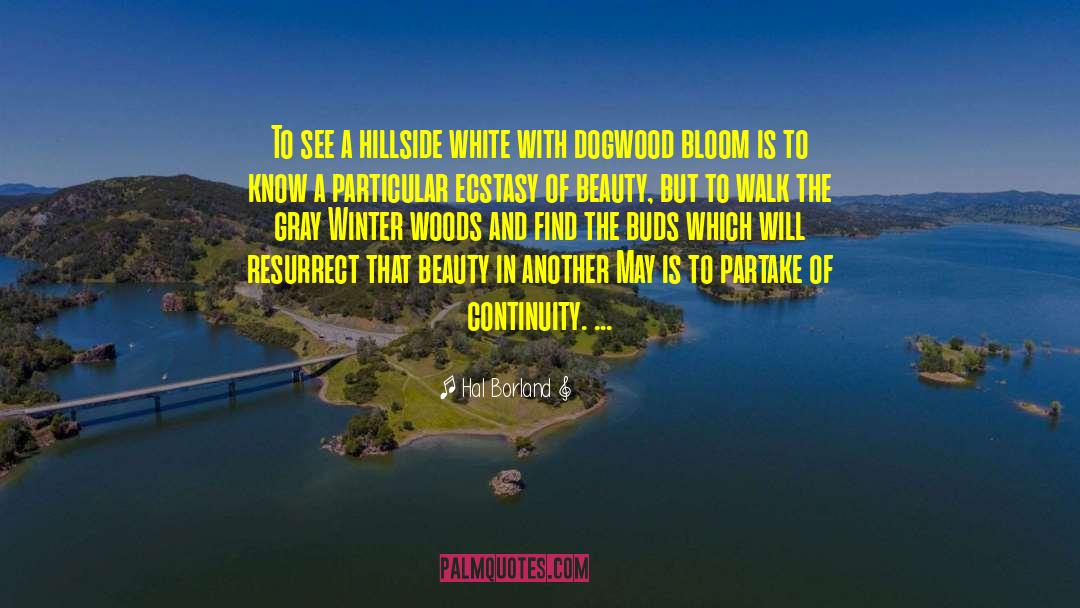 Hal Borland Quotes: To see a hillside white