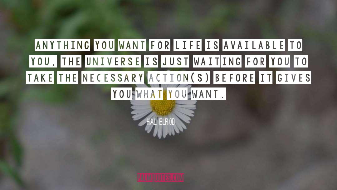 Hal Elrod Quotes: Anything you want for life