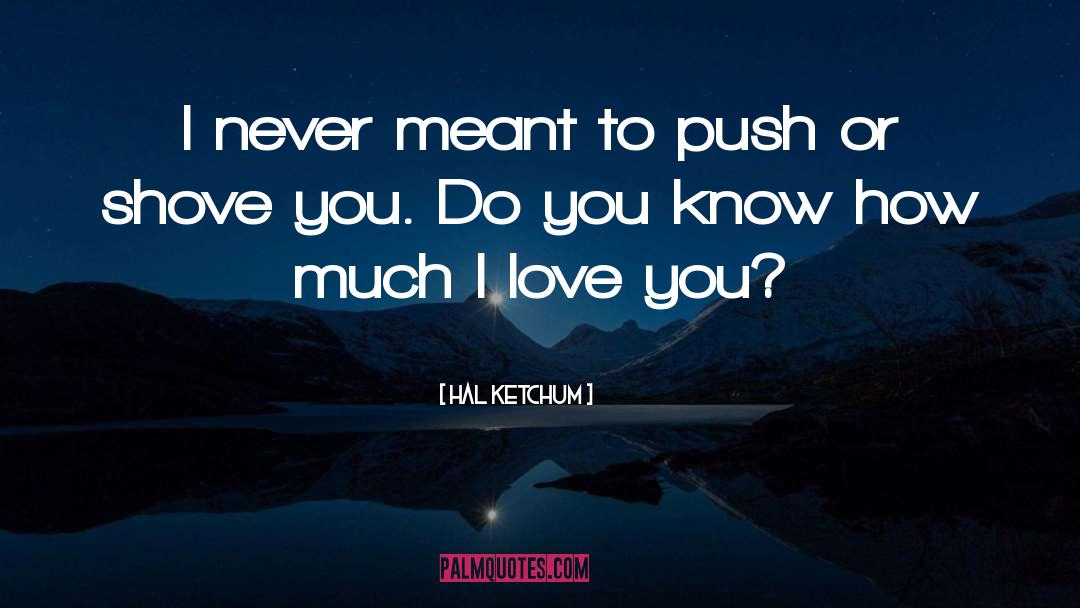 Hal Ketchum Quotes: I never meant to push