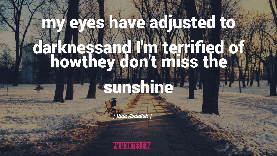 Hala Abdullah Quotes: my eyes have adjusted to