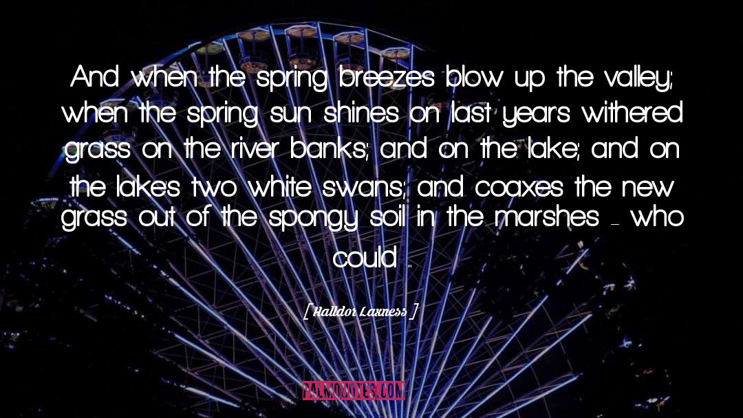 Halldor Laxness Quotes: And when the spring breezes