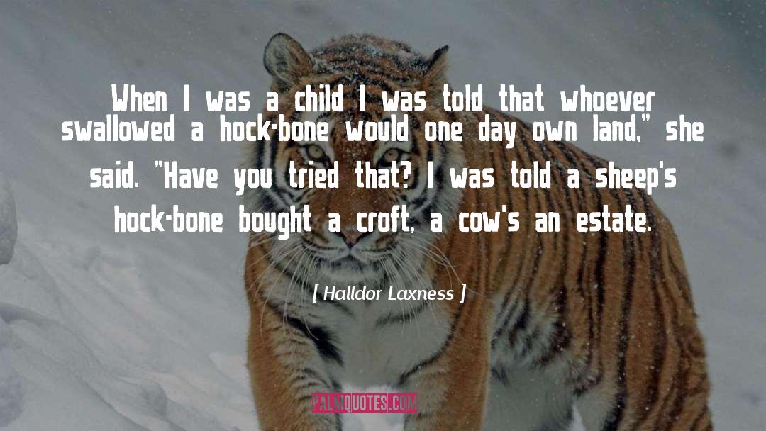 Halldor Laxness Quotes: When I was a child